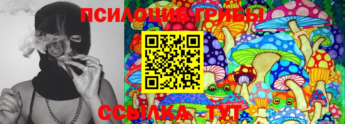 Псилоцибиновые грибы Cubensis  Галлюциногенные грибы мухоморы  Чистополь  Вход с VPN 